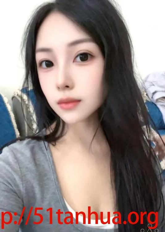 混血新疆小猫咪